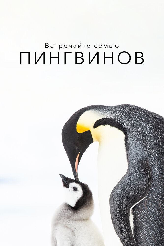 Встречайте семью пингвинов (2020)